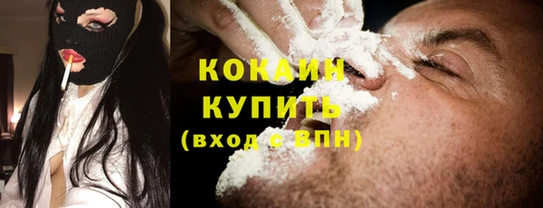 хмурый Ветлуга