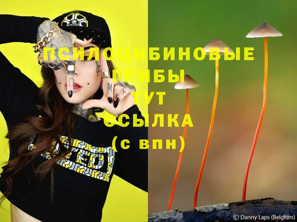 каннабис Горно-Алтайск