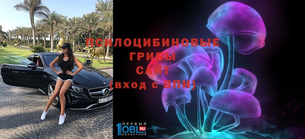 скорость Горняк