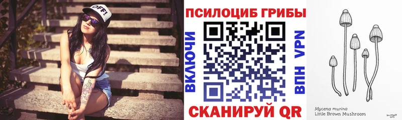 купить наркоту  Ефремов  Галлюциногенные грибы Psilocybine cubensis 